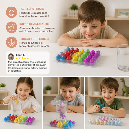 Kit d’œufs de dinosaures à faire éclore – Œufs qui grandissent dans l’eau avec dinosaures surprises