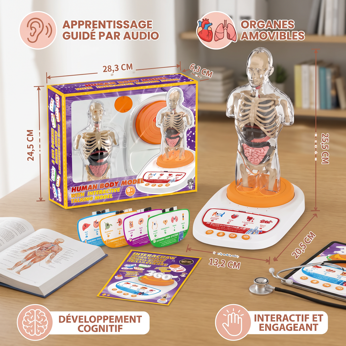 Modèle Anatomique Interactif Parlant avec Organes Amovibles et Apprentissage Guidé par Audio