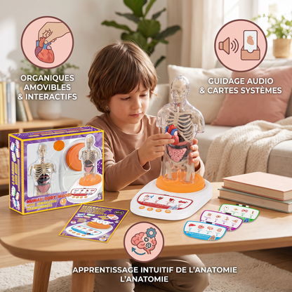 Modèle Anatomique Interactif Parlant avec Organes Amovibles et Apprentissage Guidé par Audio