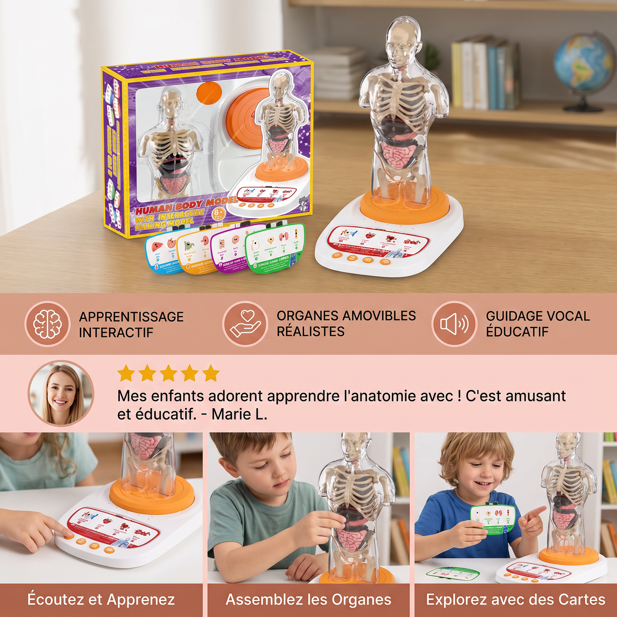 Modèle Anatomique Interactif Parlant avec Organes Amovibles et Apprentissage Guidé par Audio