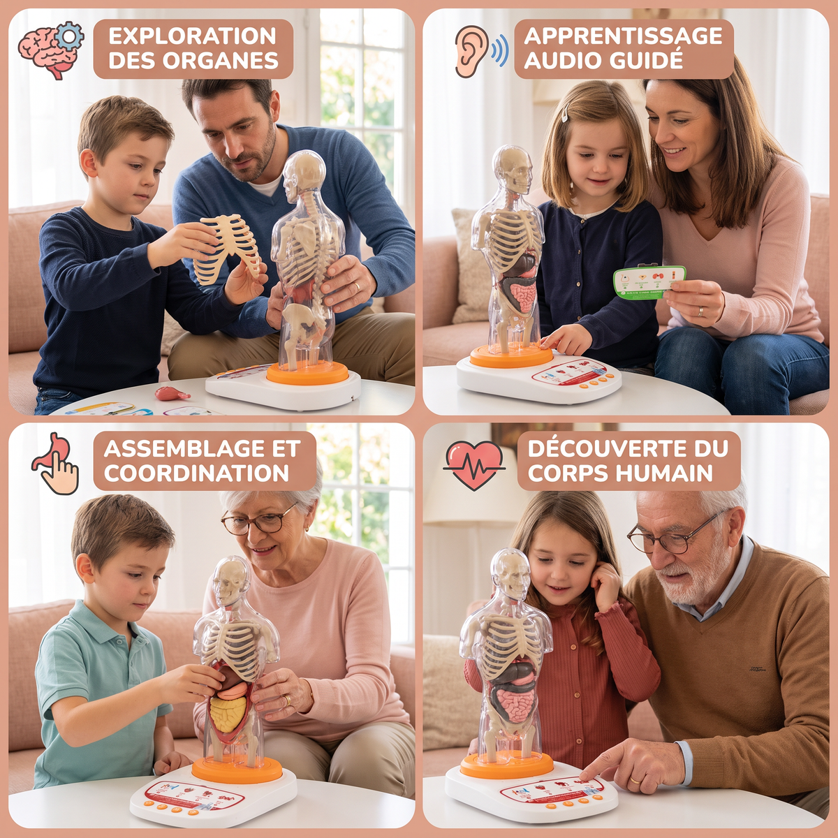 Modèle Anatomique Interactif Parlant avec Organes Amovibles et Apprentissage Guidé par Audio
