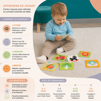 Cartes d’apprentissage Montessori pour bébés – Coffret de stimulation visuelle, de reconnaissance des couleurs et de catégorisation