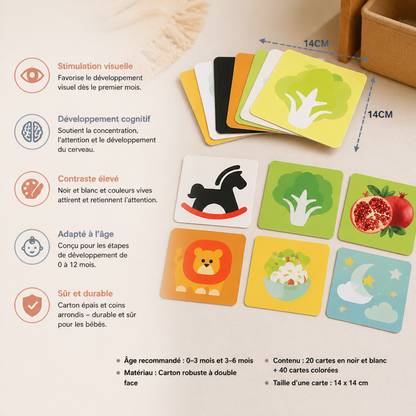 Cartes d’apprentissage Montessori pour bébés – Coffret de stimulation visuelle, de reconnaissance des couleurs et de catégorisation