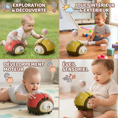 Jouet ballon coccinelle pour bébés
